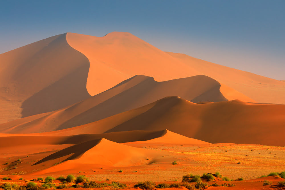 Leuchtend rote Sanddünen der Kalahari-Wüste im warmen Licht der aufgehenden oder untergehenden Sonne.
